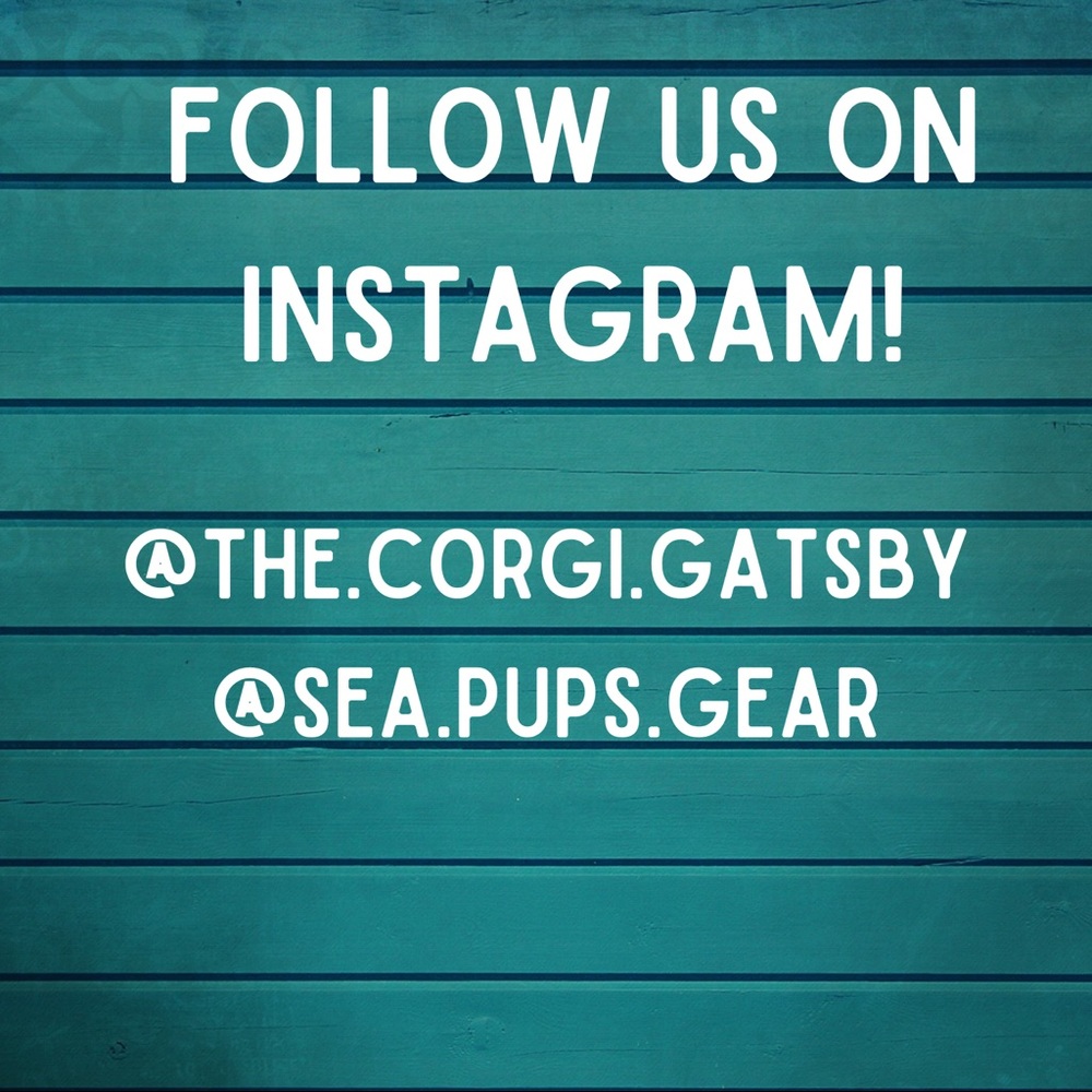 Back in stock! Handmade corgi coffee cup cozy - Picture 2 of 4